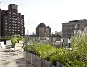 Rooftop New York City